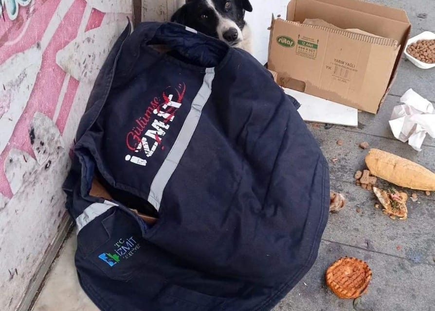 İZMİT BELEDİYESİ PERSONELİ HEM BİR CANI HEM DE KALPLERİ ISITTI
