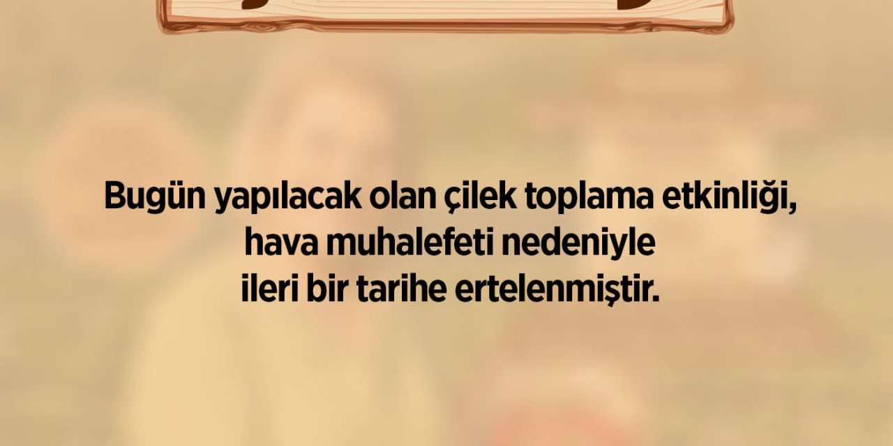 ÇİLEK HASADI HAVA MUHALEFETİ NEDENİYLE ERTELENDİ