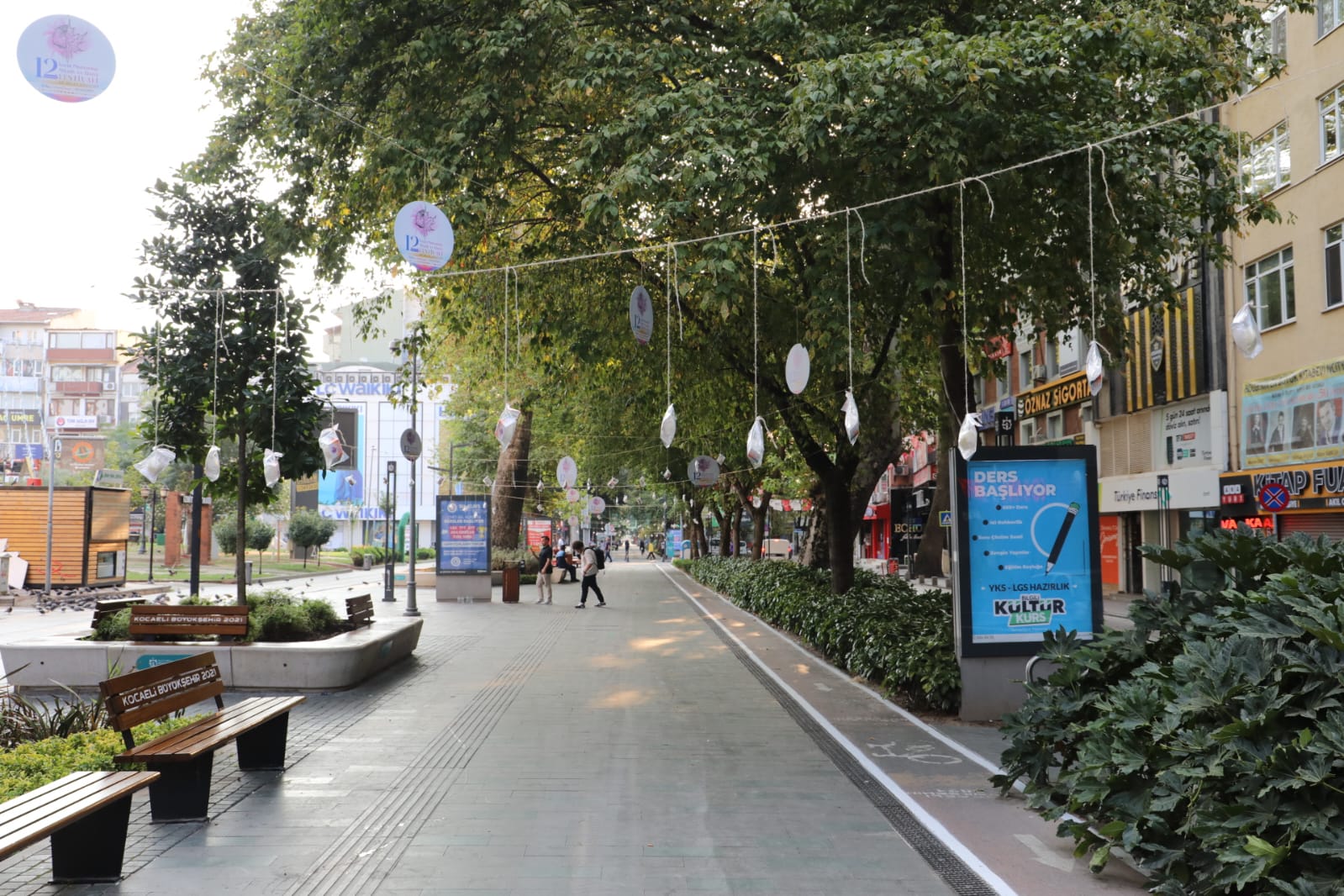 İzmit’te ağaçlar pişmaniye açtı (9)