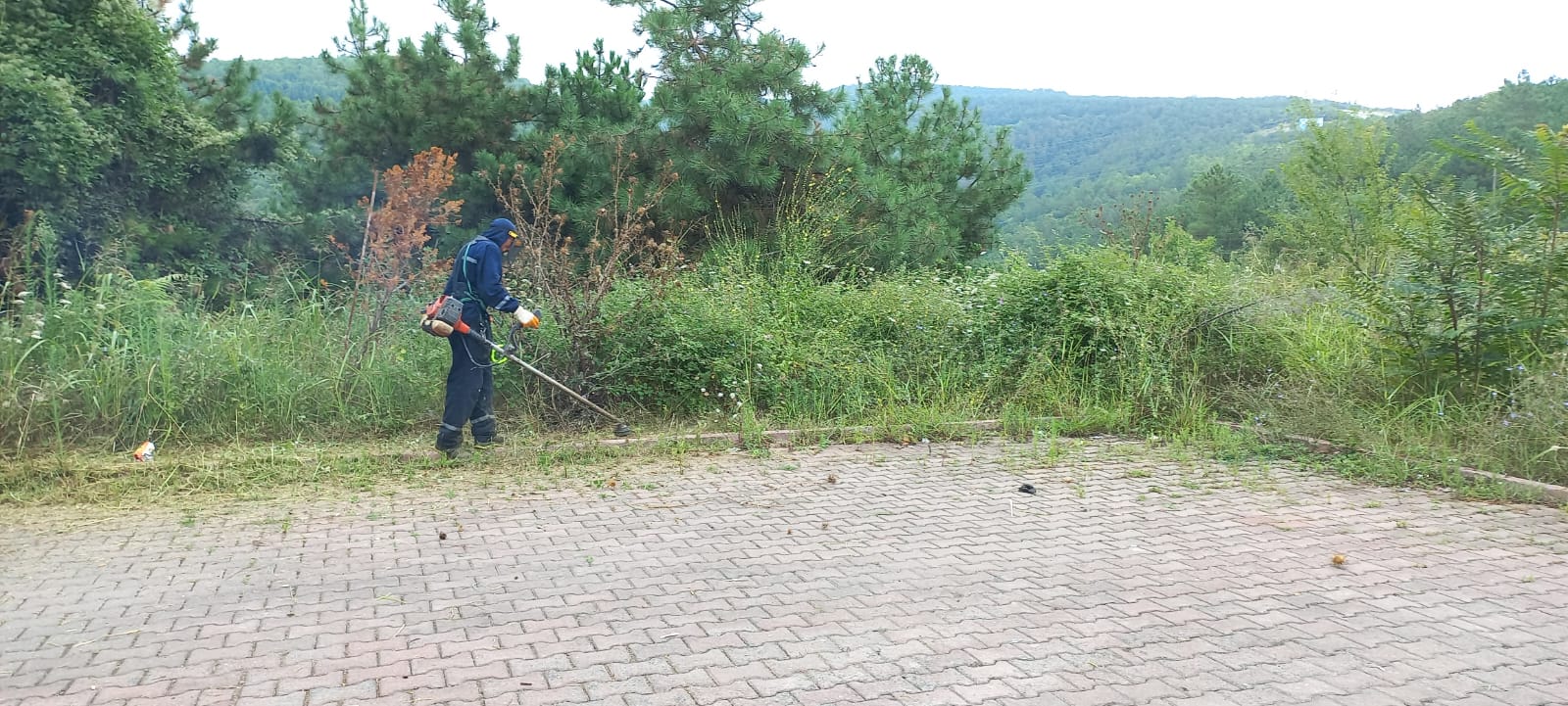 Park ve Bahçeler Ekipleri Çalisiyor (6)