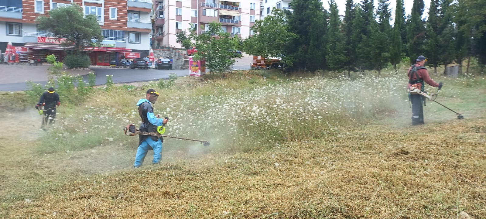 Park ve Bahçeler Ekipleri Çalisiyor (7)