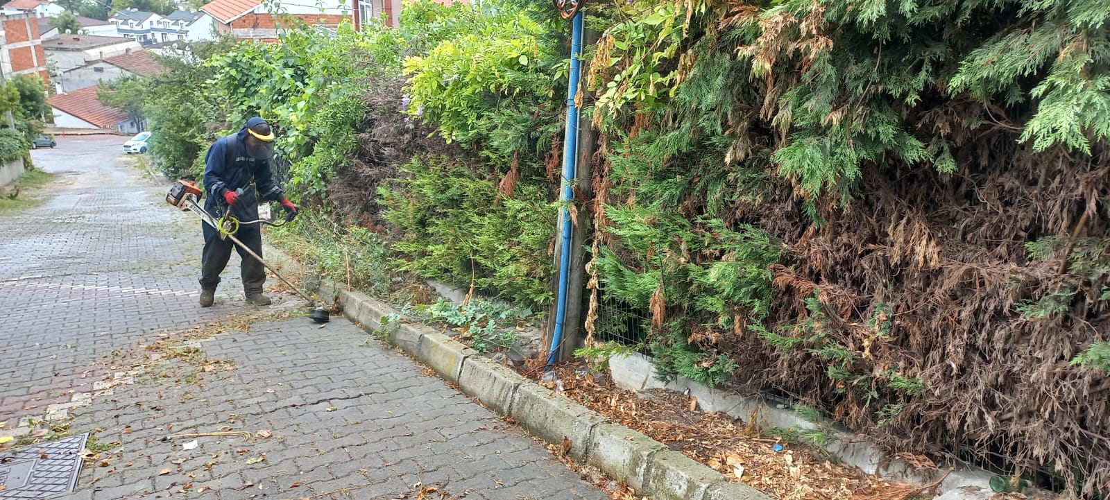 Park ve Bahçeler Ekipleri Çalisiyor (8)