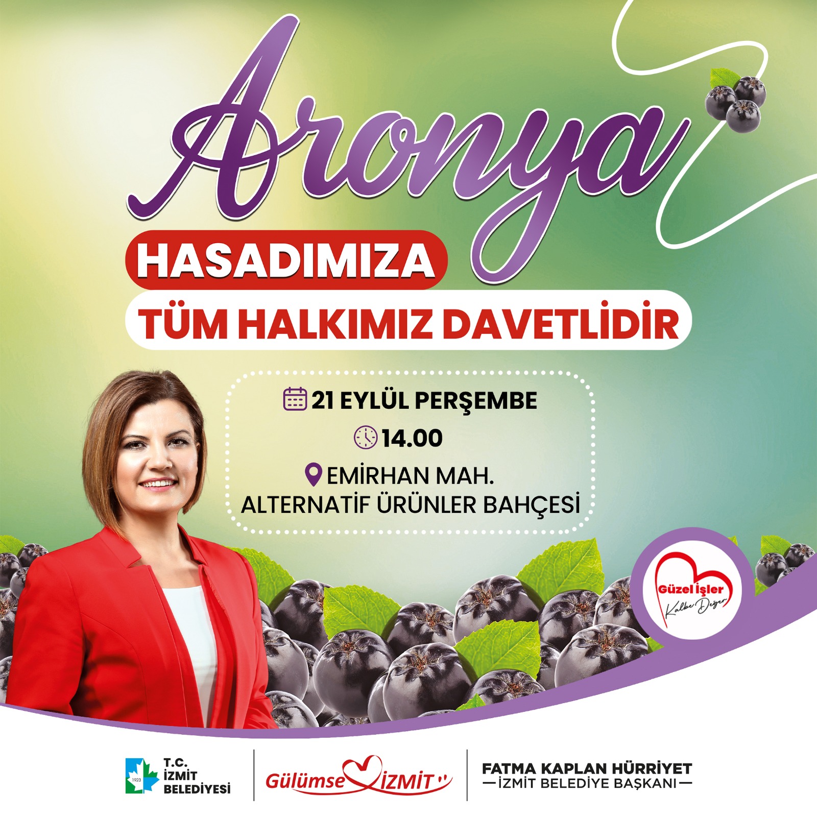 Izmit Belediyesi, süper meyve aronyanin hasadini yapacak