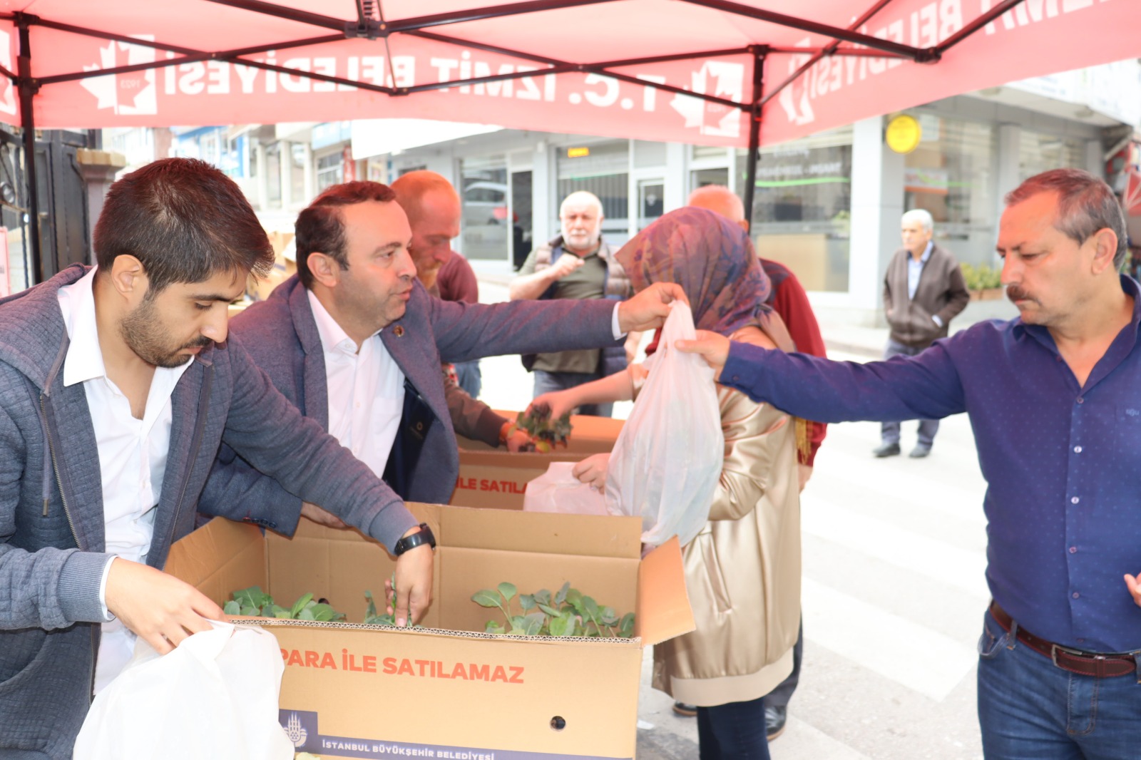 İzmit Belediyesi İBB’den hibe gelen fideleri vatandaşlarla buluşturdu (3)