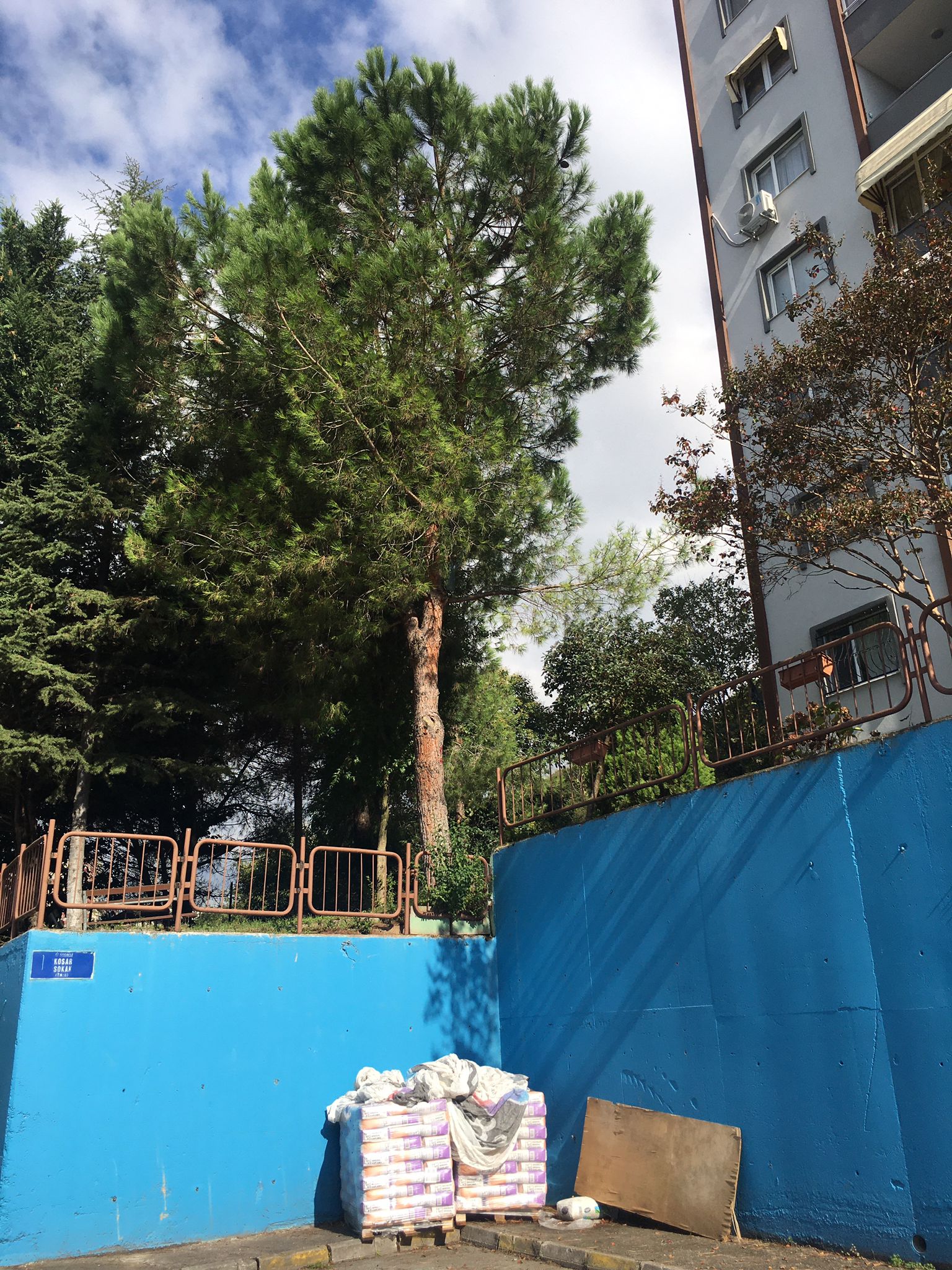 İzmit Belediyesi, tehlike arz eden ağaçlara güvenlik amacıyla müdahale edecek (3)