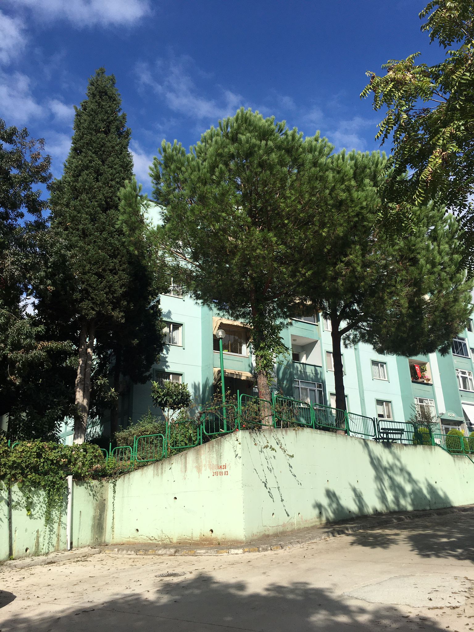İzmit Belediyesi, tehlike arz eden ağaçlara güvenlik amacıyla müdahale edecek (4)