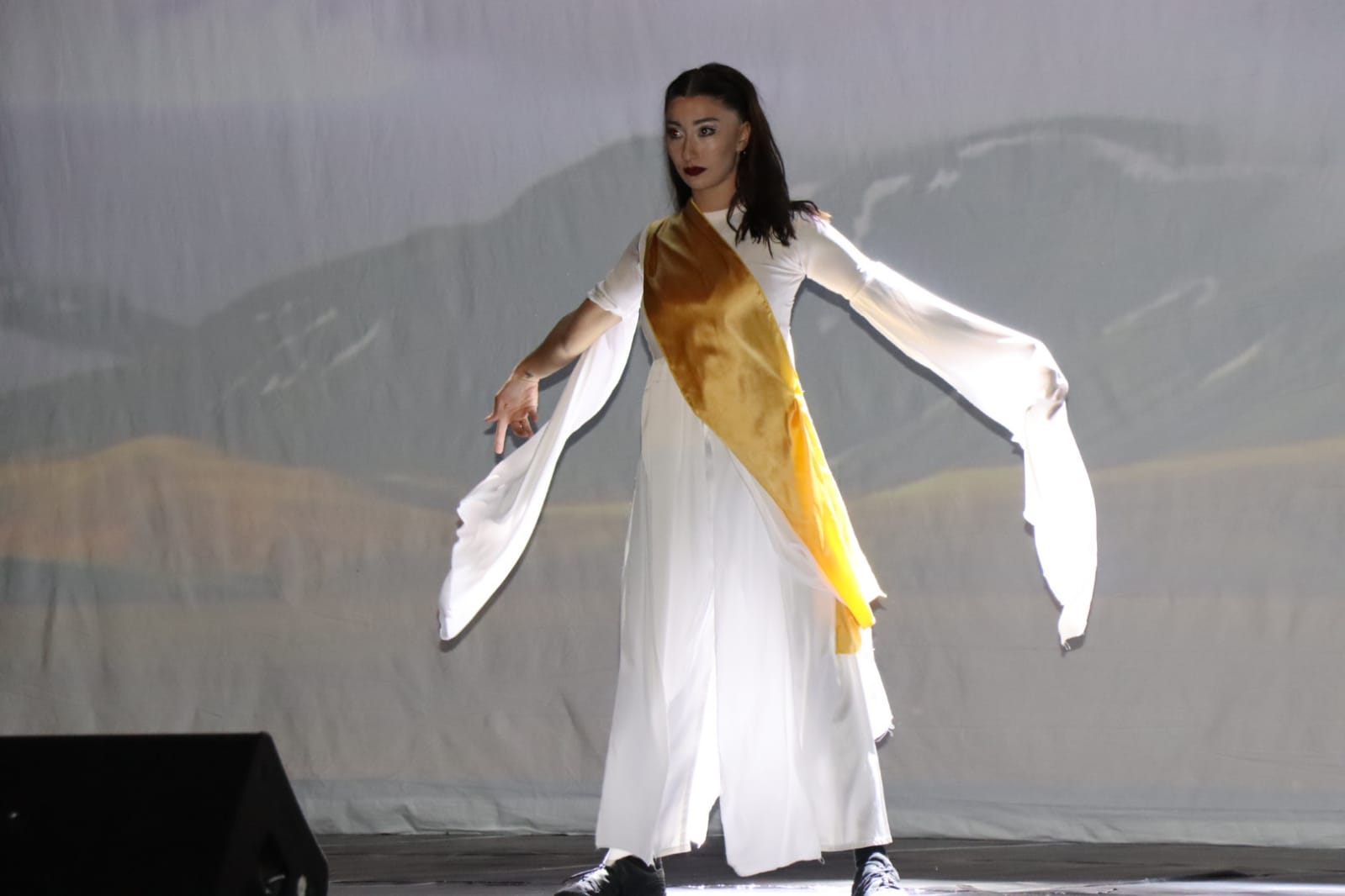 Dans Gösterisi (4)