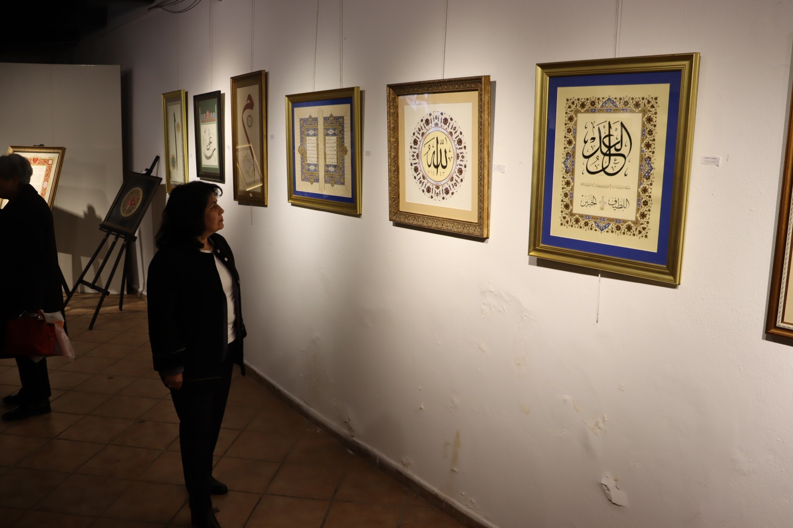 Sibel Solakoğlu sergiyi gezerken (1)
