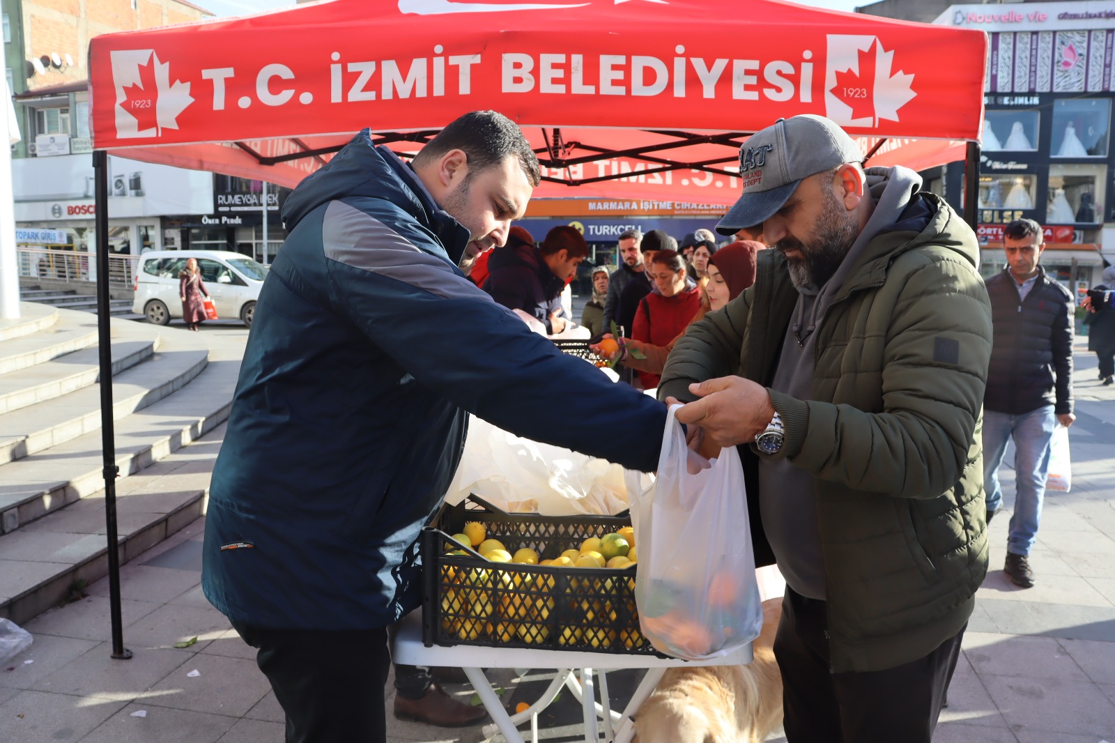 Mersin Mezitli Belediyesinin gönderdiği meyveler İzmit halkına dağıtıldı (2)