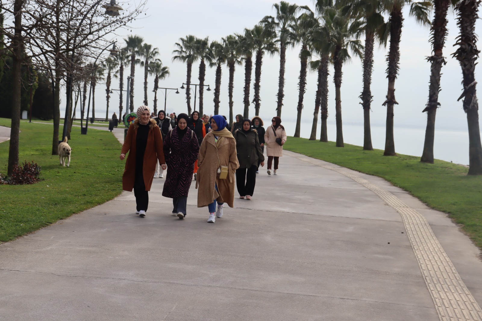 Izmit Belediyesi Saglik Yasam Yürüyüslerine kadinlar yogun ilgi gösteriyor (4)