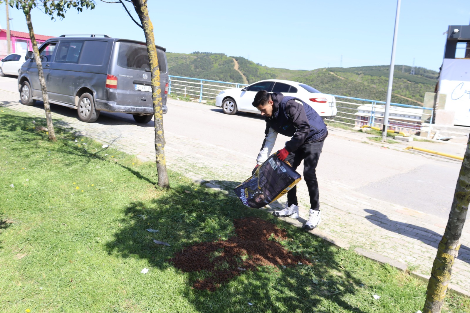 İzmit Belediyesi, sokaktaki dostlarımızın yanında olmaya devam ediyor (6)