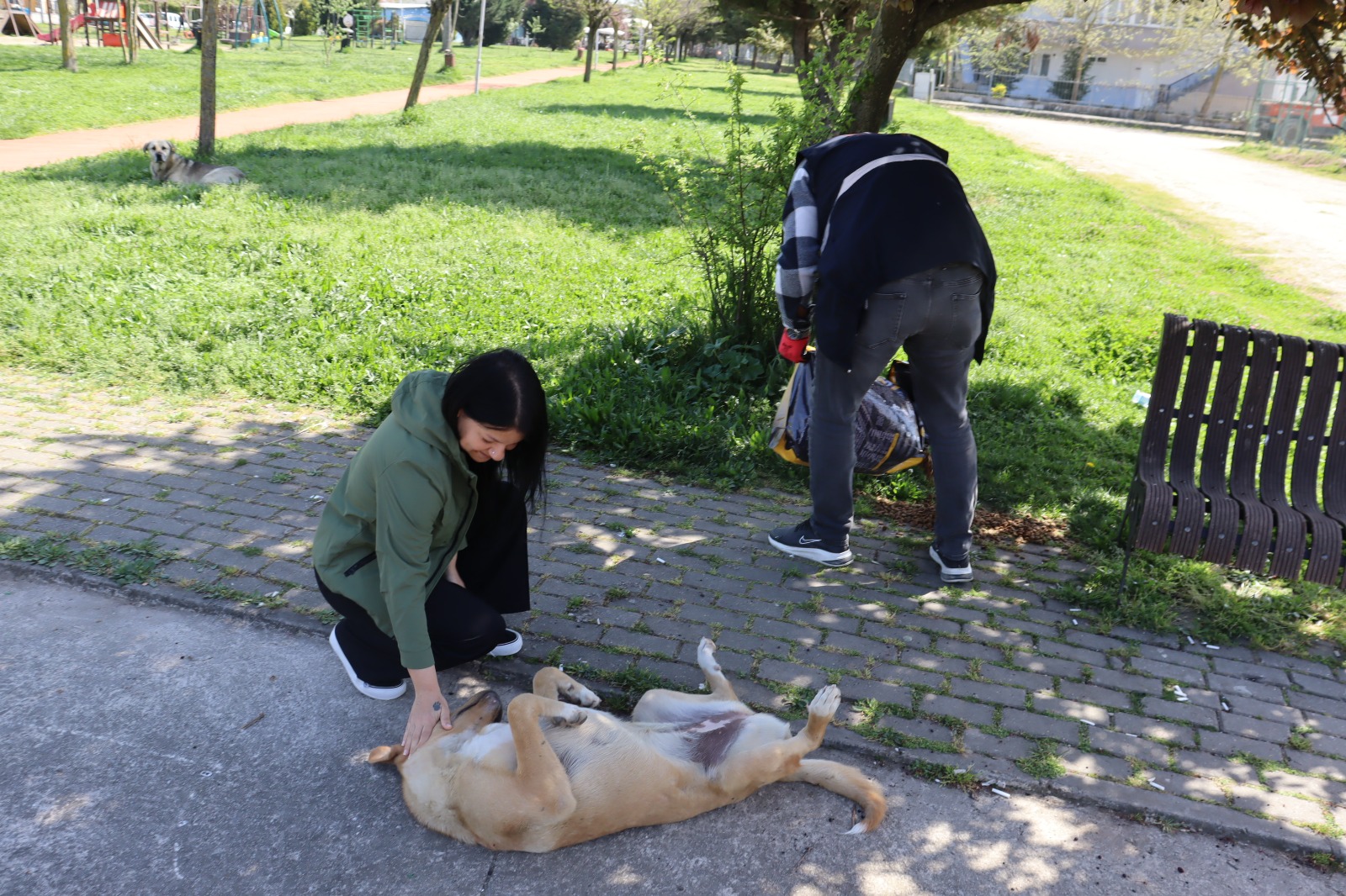 İzmit Belediyesi, sokaktaki dostlarımızın yanında olmaya devam ediyor (8)
