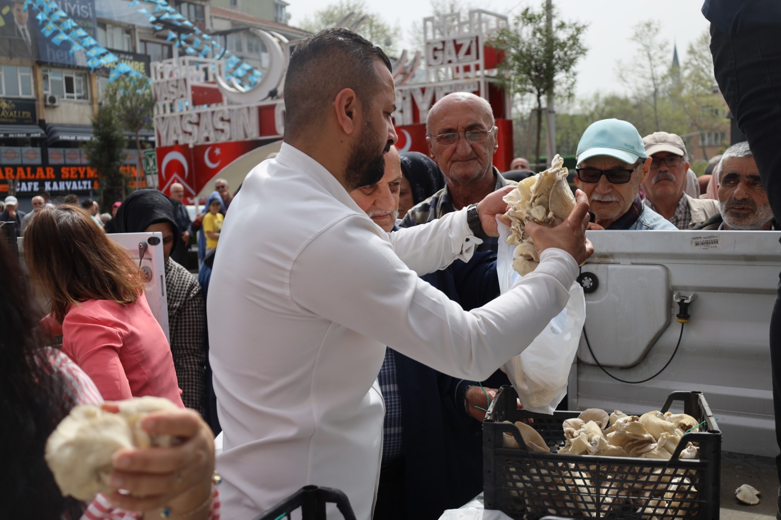 İzmit Belediyesi vatandaşlara İstiridye mantarı dağıttı (10)