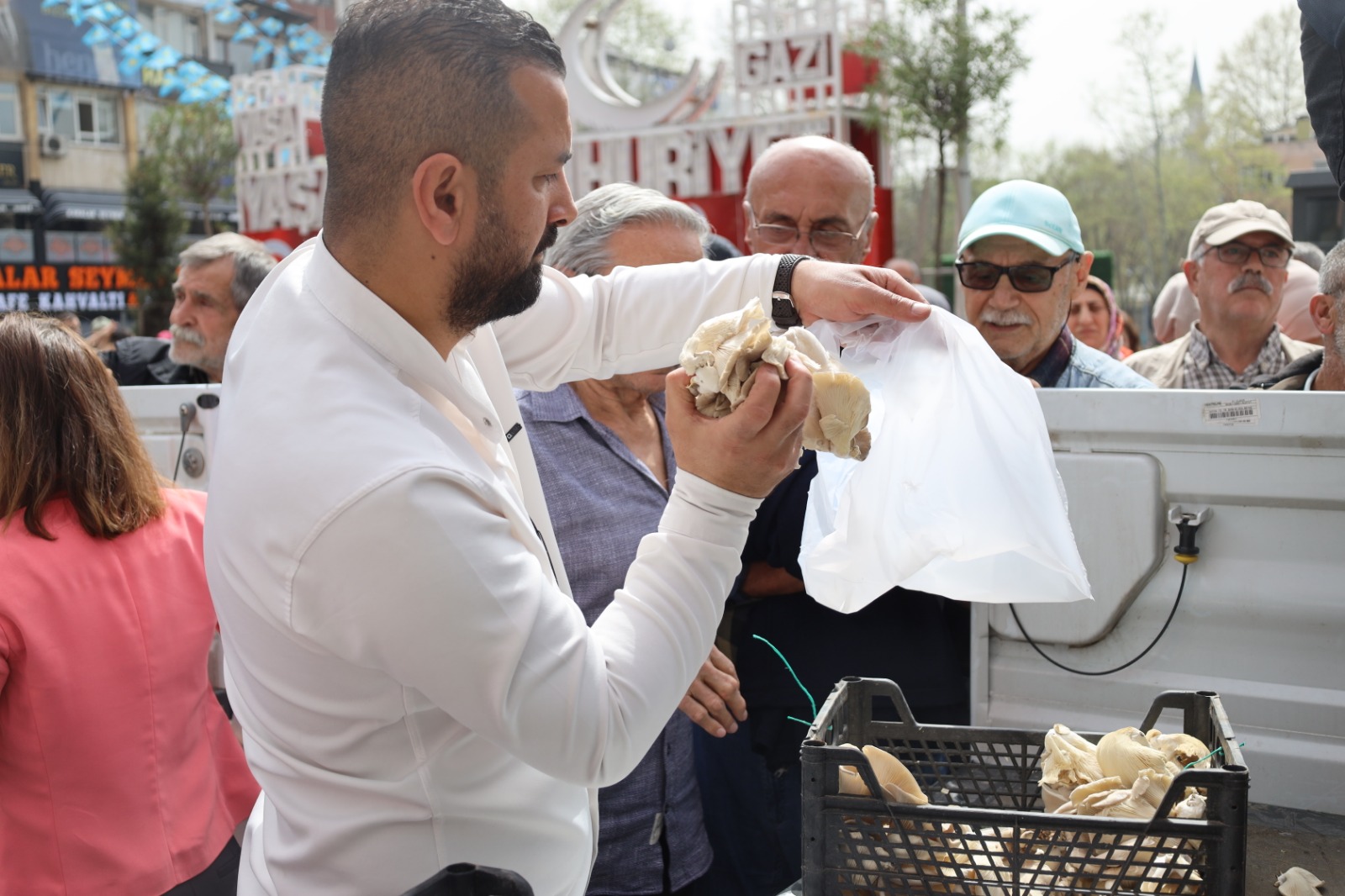 İzmit Belediyesi vatandaşlara İstiridye mantarı dağıttı (11)