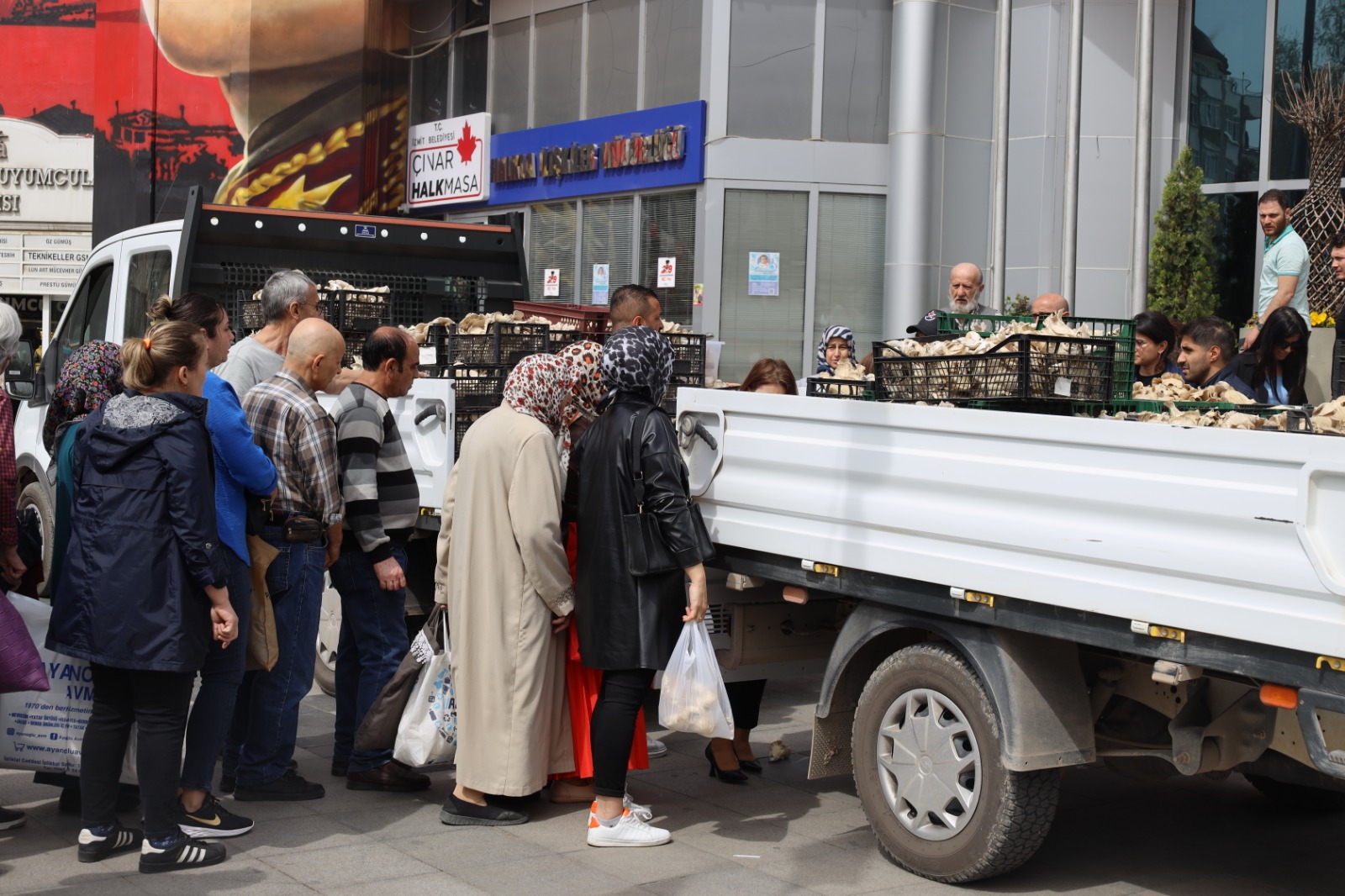İzmit Belediyesi vatandaşlara İstiridye mantarı dağıttı (7)