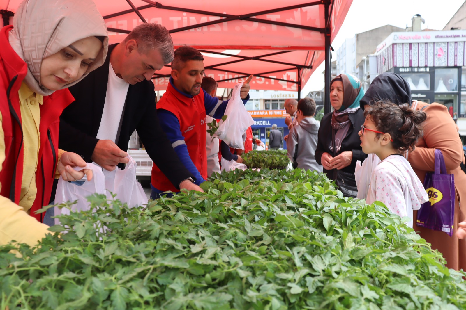 İzmit Belediyesi 43 bin fideyi vatandaşlara dağıttı (10)