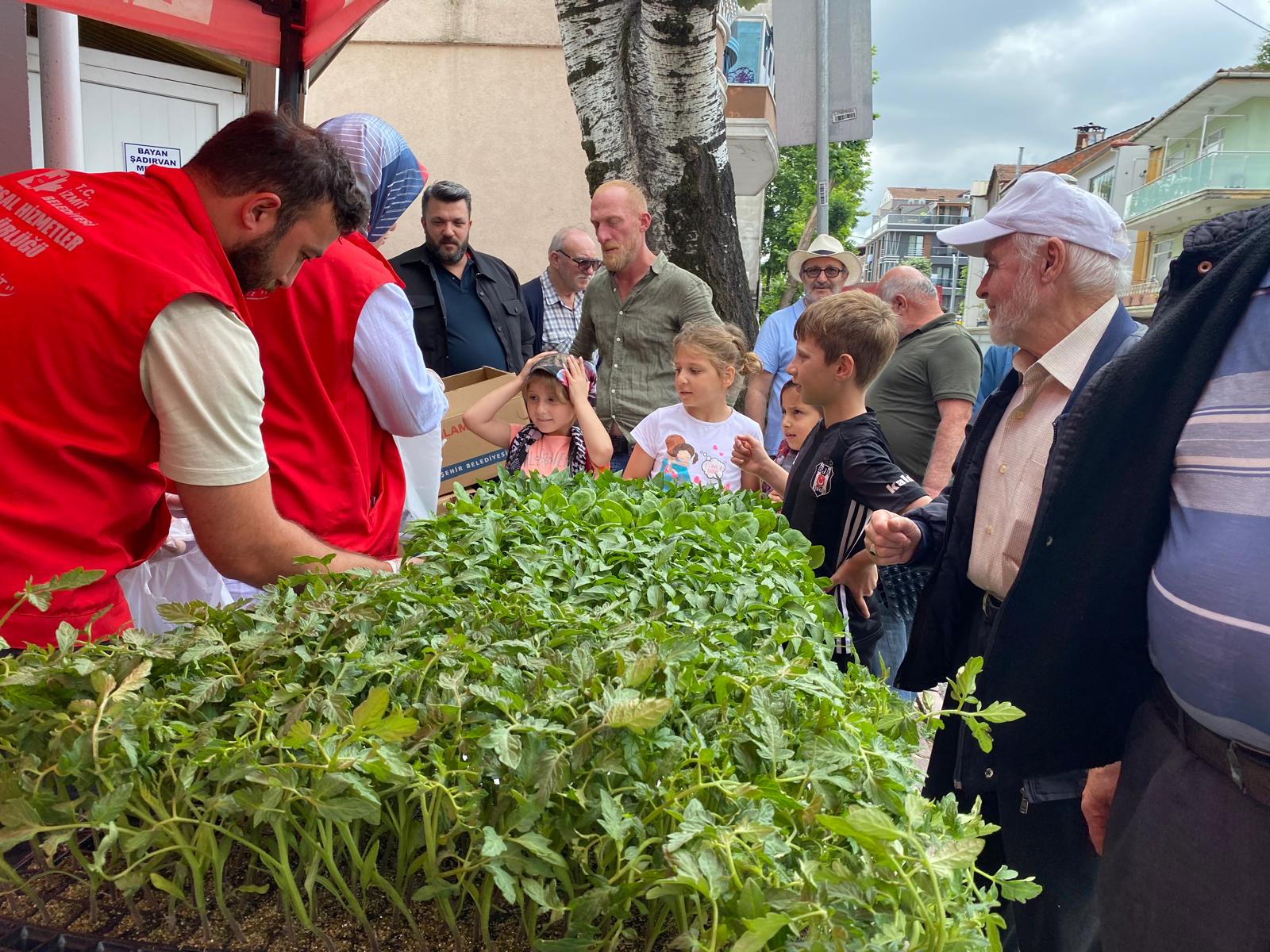 İzmit Belediyesi 43 bin fideyi vatandaşlara dağıttı (4)