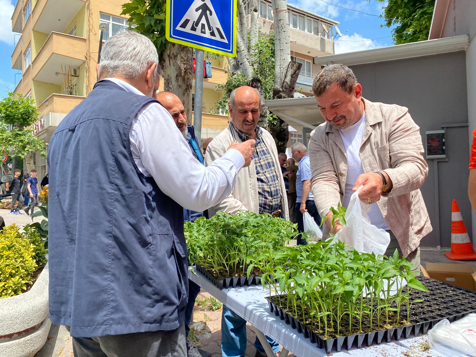 İzmit Belediyesi 43 bin fideyi vatandaşlara dağıttı (5)