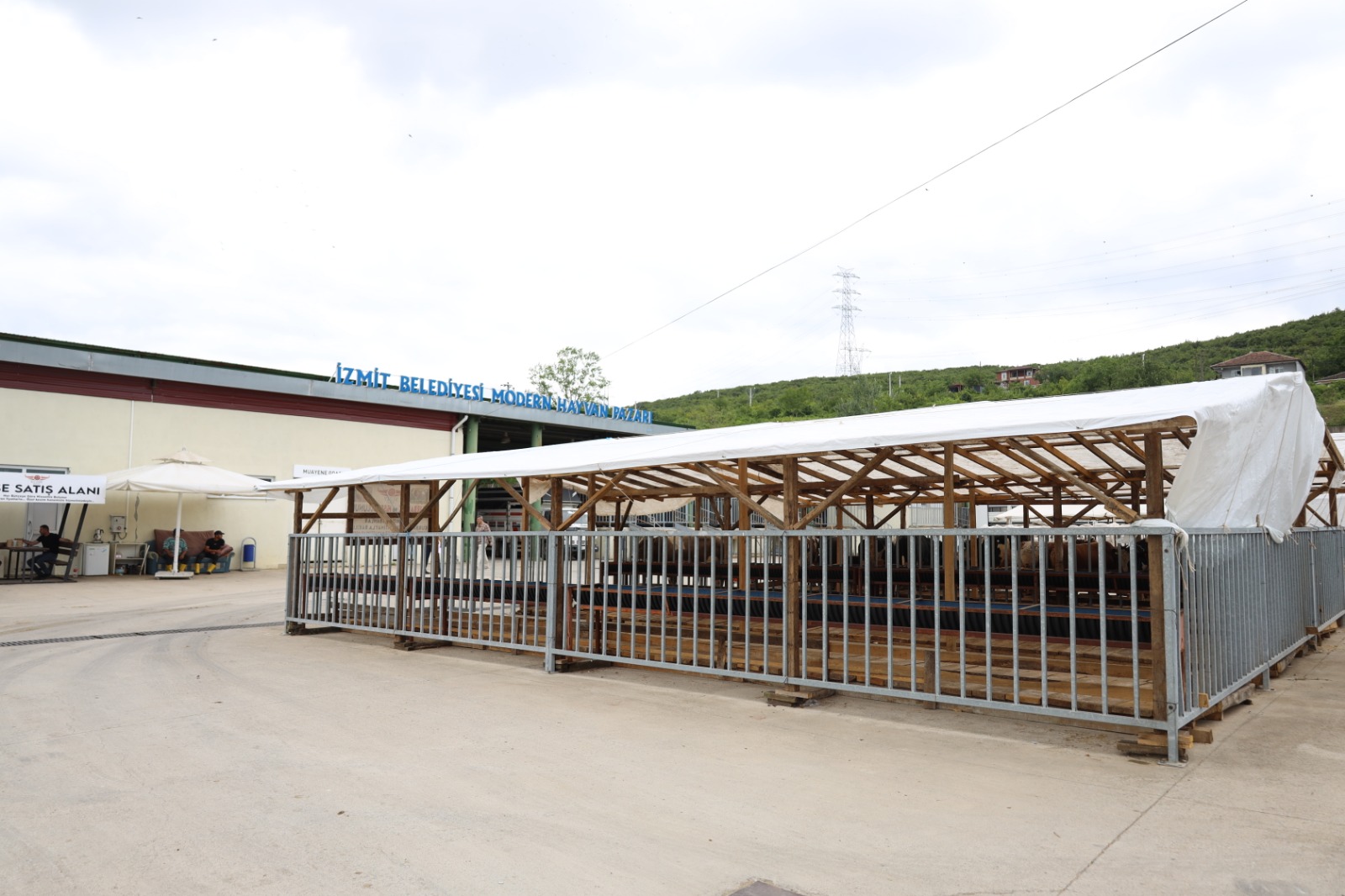 İzmit Belediyesi Modern Hayvan Pazarına kurbanlıklar gelmeye başladı (3)