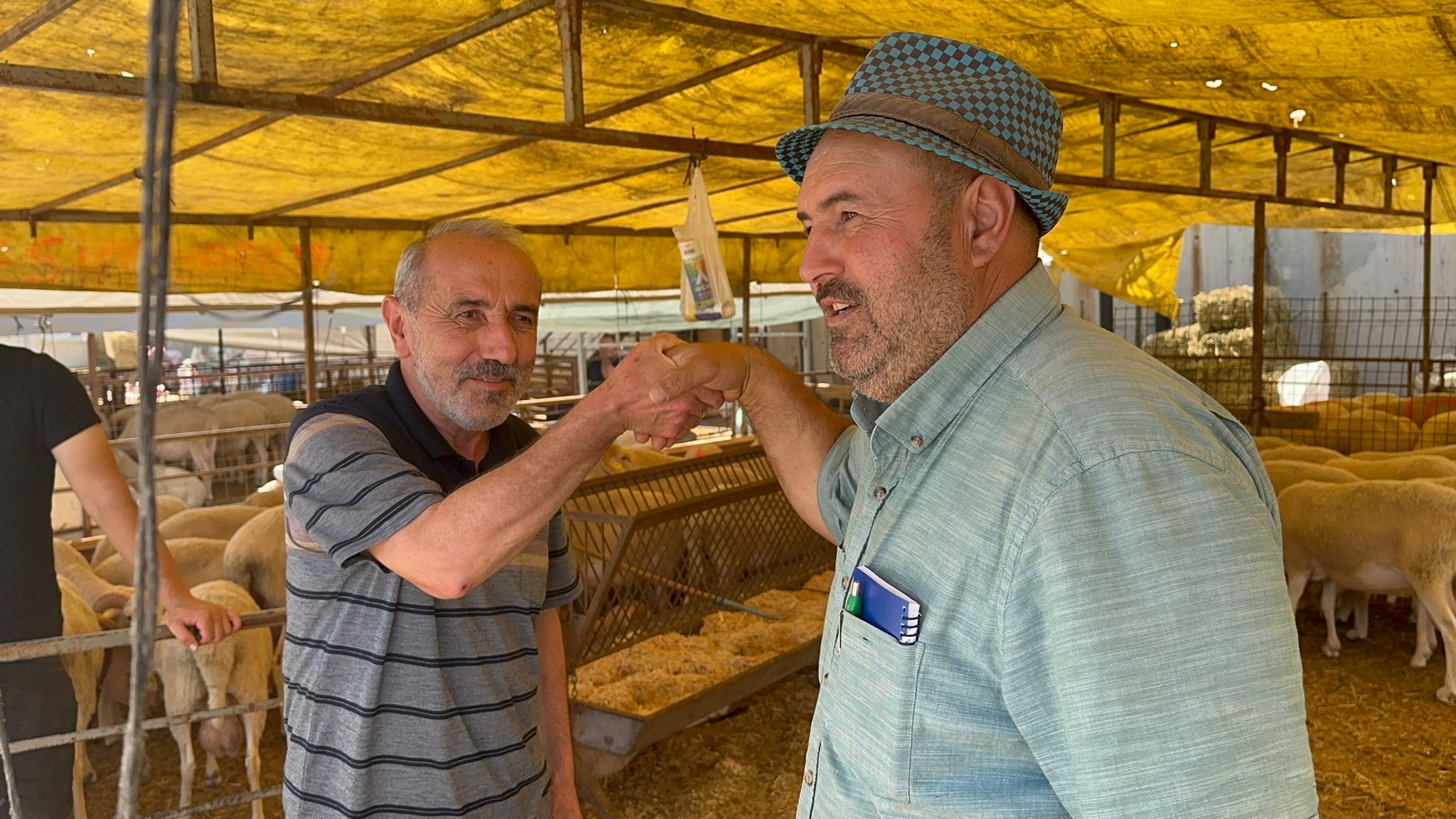 Modern Hayvan Pazari'nda kurbanlik alisverisi devam ediyor (4)