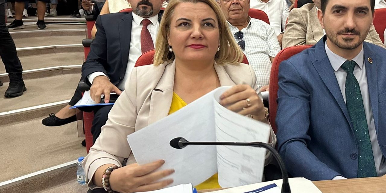 HÜRRİYET ARAÇ KİRALAMA SÖZLEŞMELERİNİ SORDU “SİZCE SATIN ALMAK DAHA TASARRUFLU DEĞİL Mİ?