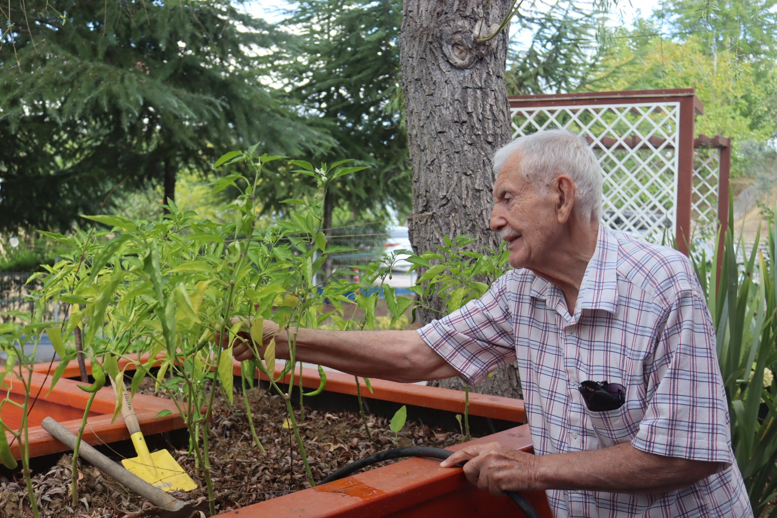 Alzheimer Yaşam Evi'nde birçok etkinlik gerçekleştiriliyor (5)