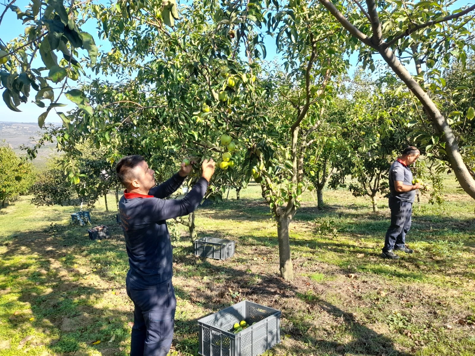 İzmit Belediyesi yaz mevsiminde ürettiği ürünleri vatandaşla paylaşmayı sürdürdü (4)