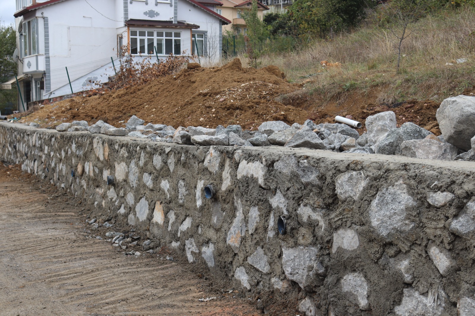 İzmit Belediyesinden Tüysüzler’e güvenli alan (2)