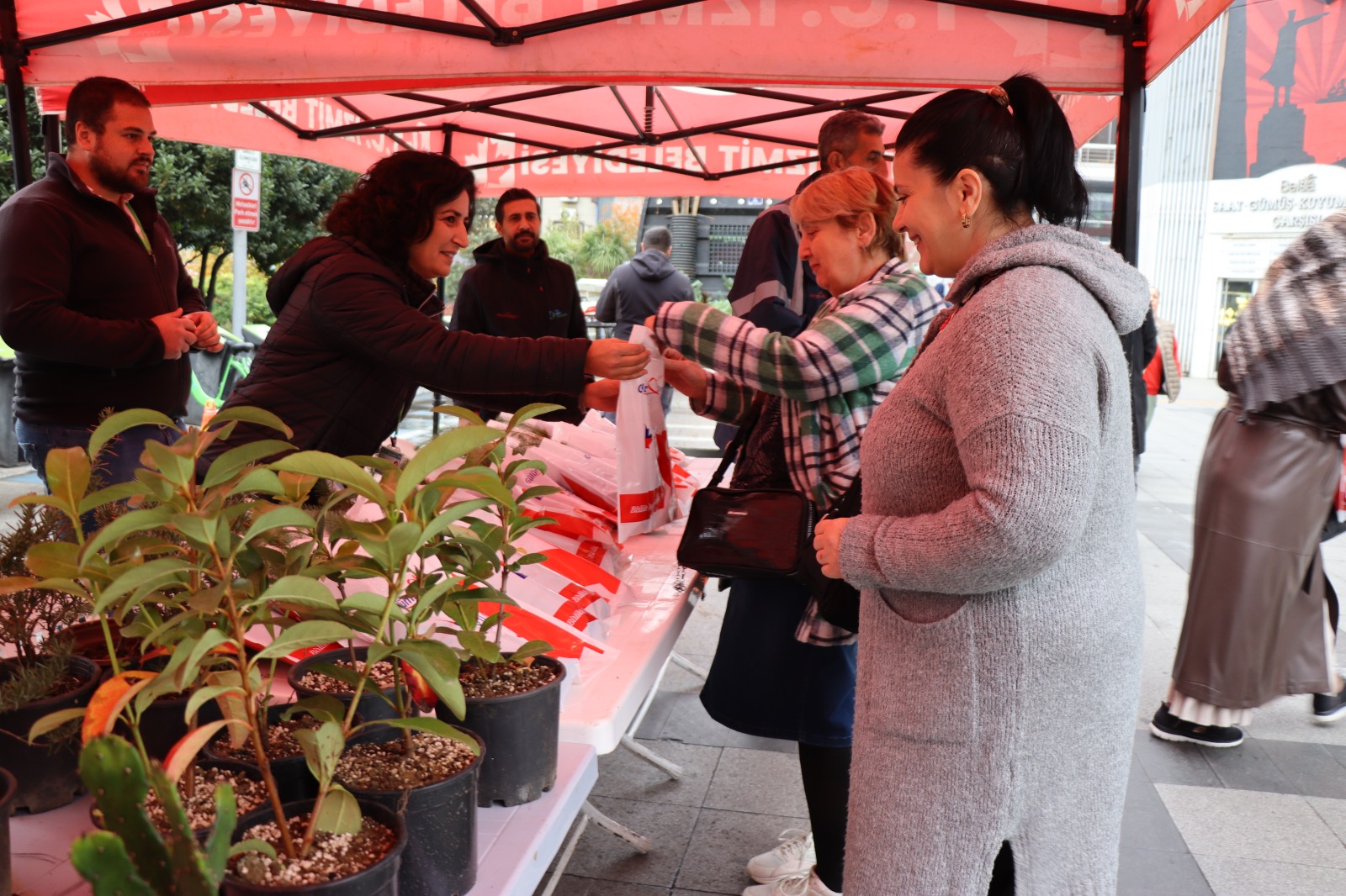 İzmit Belediyesi vatandaşlara istiridye mantarı ve fıstık çamı dağıttı (4)