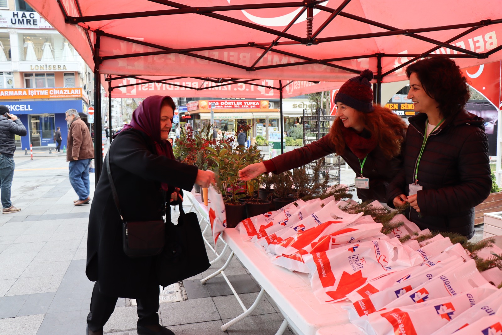 İzmit Belediyesi vatandaşlara istiridye mantarı ve fıstık çamı dağıttı (9)