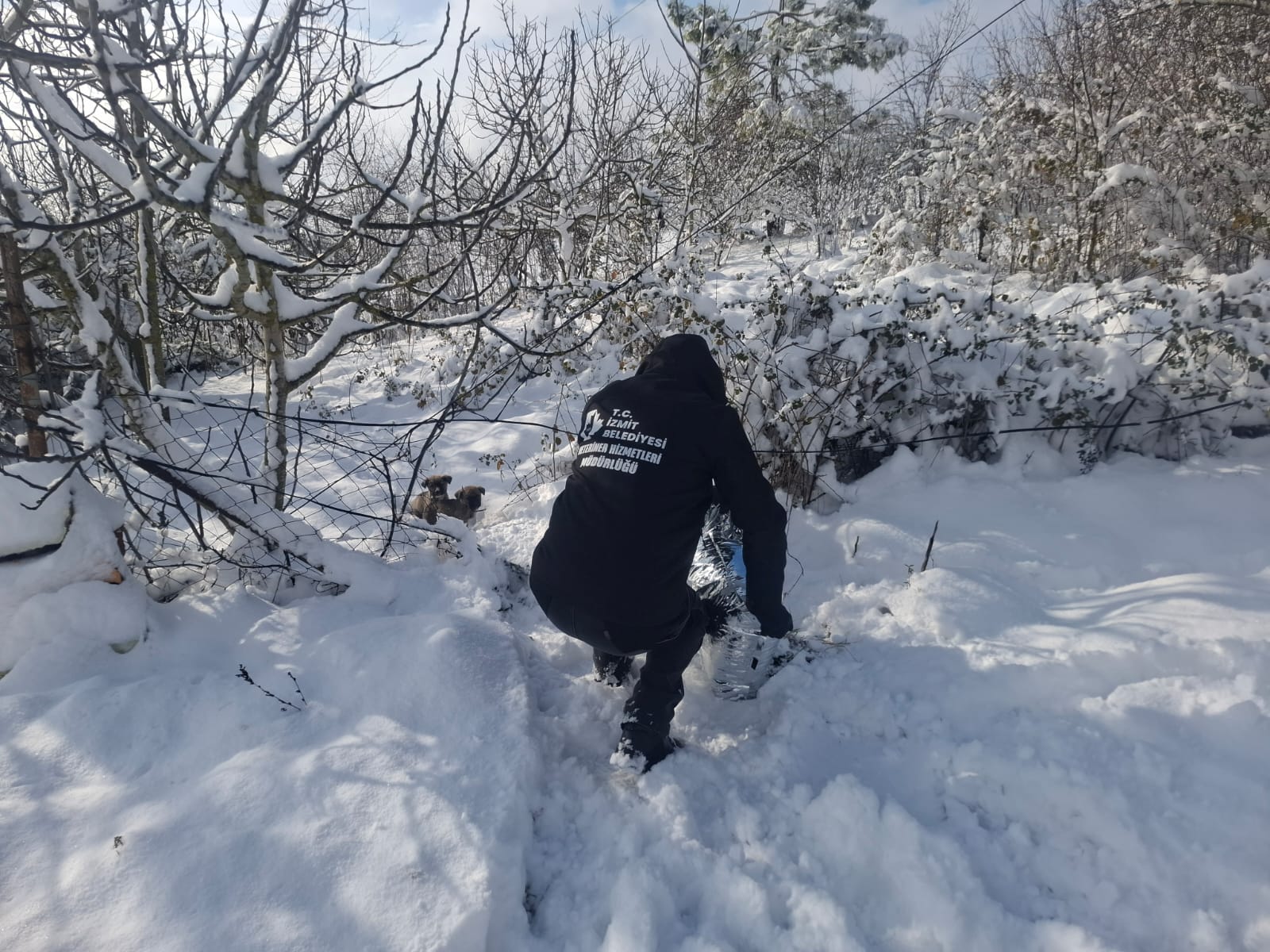 İzmit Belediyesinden soğuk günlerde sıcak destek (4)