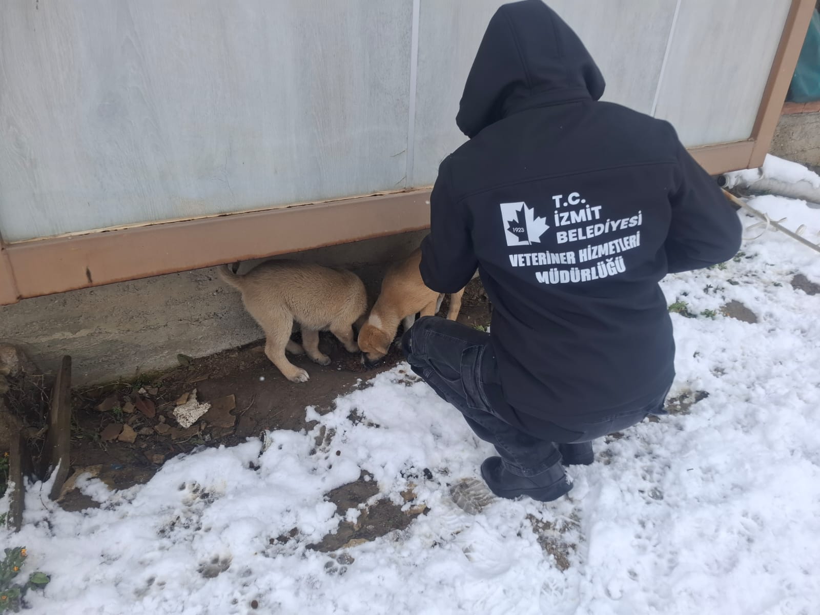 İzmit Belediyesinden soğuk günlerde sıcak destek (8)