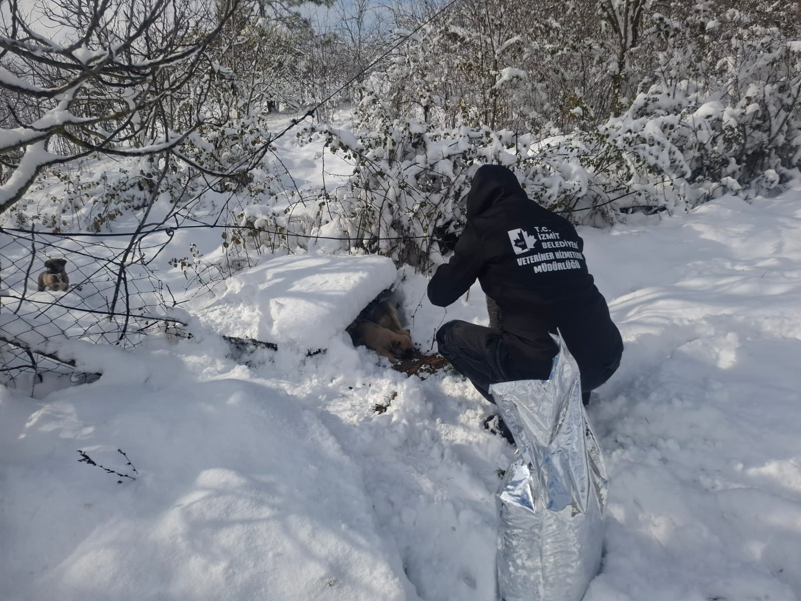 İzmit Belediyesinden soğuk günlerde sıcak destek (9)