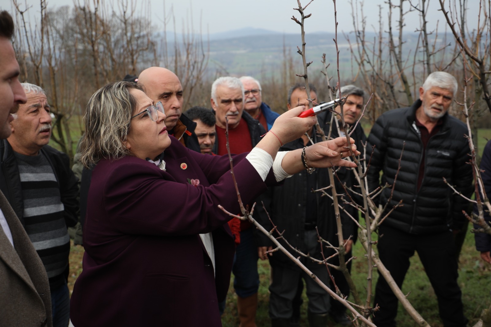 Izmit Belediyesinden üreticilere Meyve Agaci Budama ve Asilama Egitimi (12)