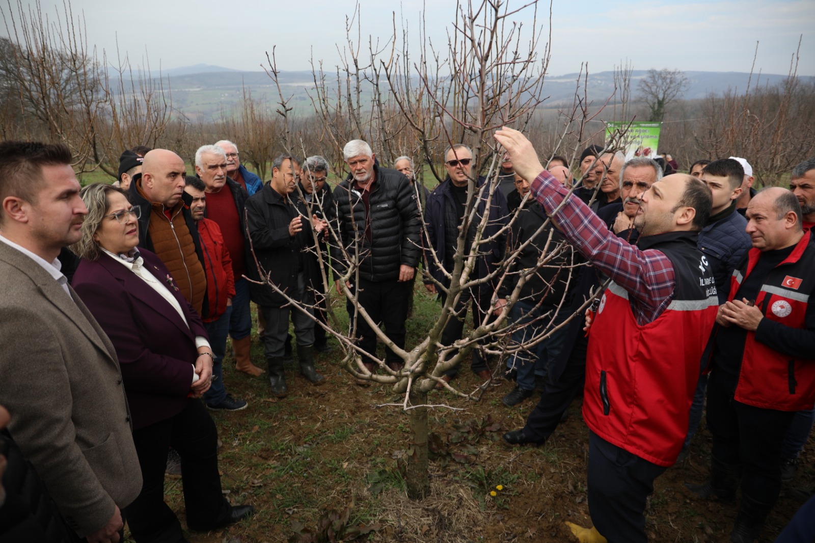 Izmit Belediyesinden üreticilere Meyve Agaci Budama ve Asilama Egitimi (13)