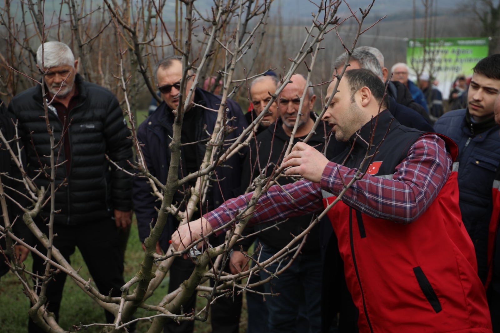 Izmit Belediyesinden üreticilere Meyve Agaci Budama ve Asilama Egitimi (14)