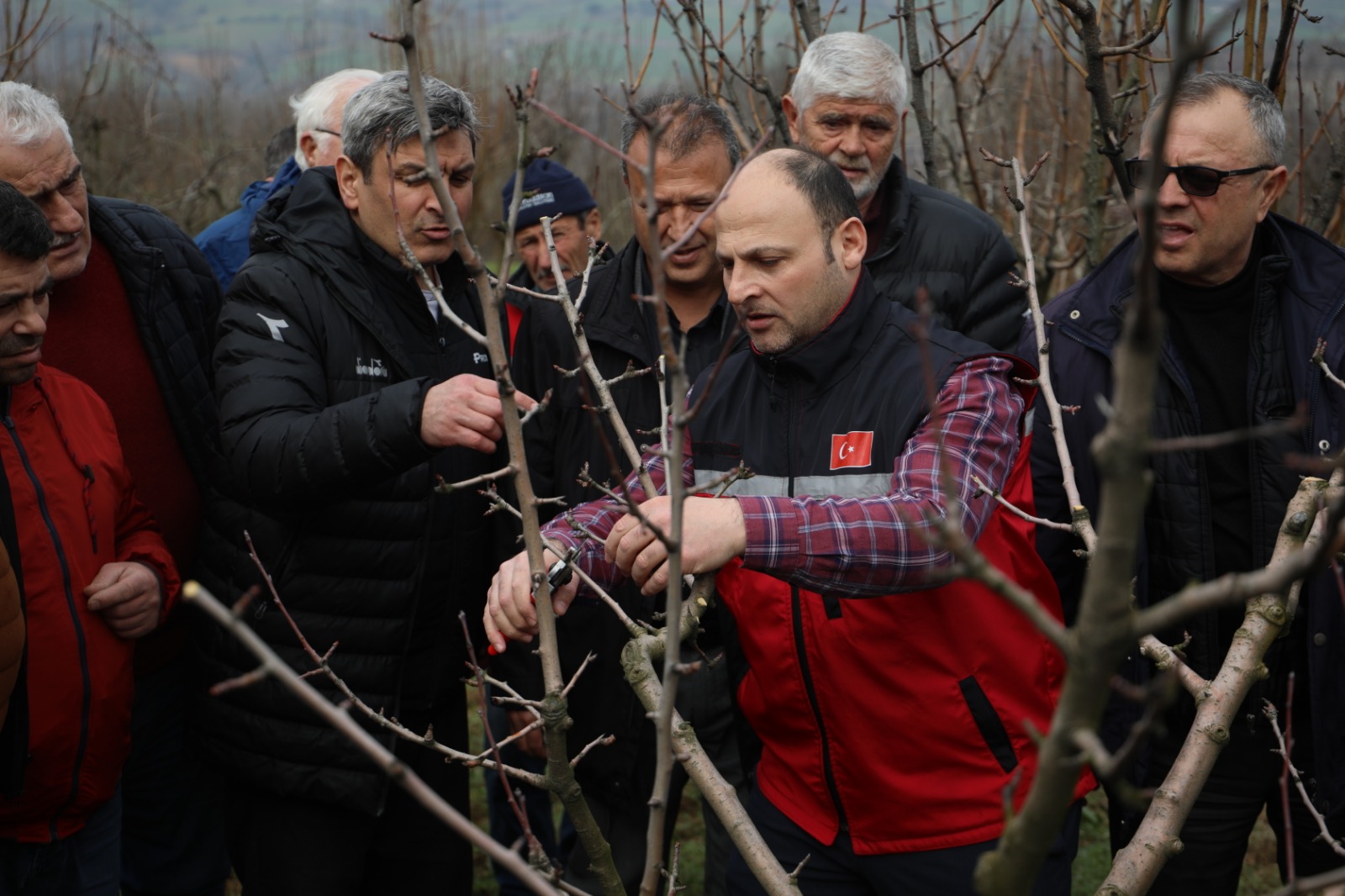 Izmit Belediyesinden üreticilere Meyve Agaci Budama ve Asilama Egitimi (15)