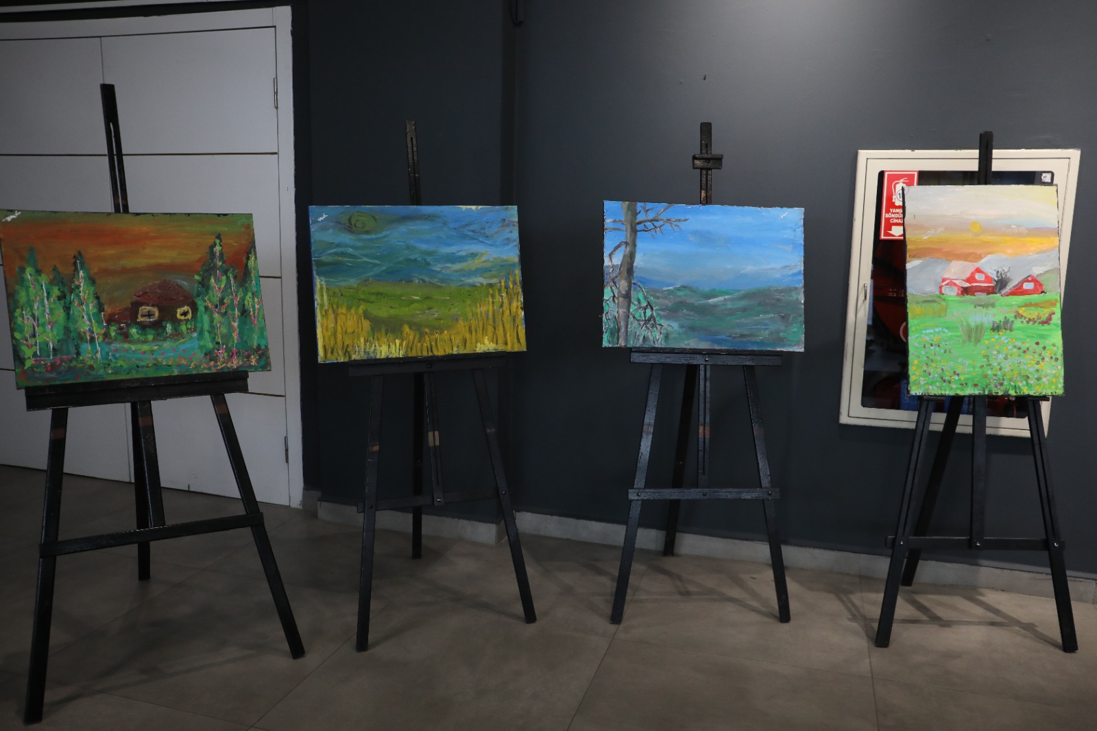 Genç Yusuf Emir Sudan ilk kişisel resim sergisini Nikomedya Sanat Galerisinde açtı (12)