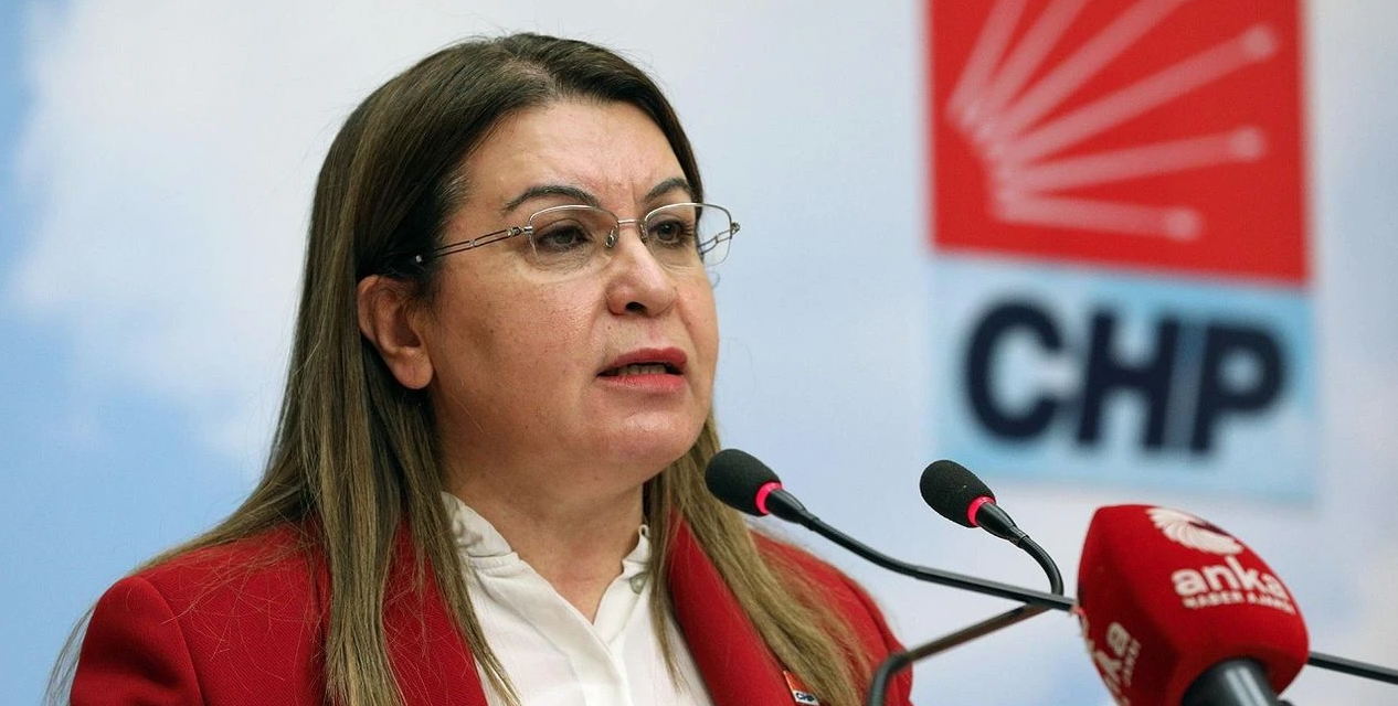 TBMM BAŞKANVEKİLİ GÜLİZAR BİÇER KARACA, ÇINAR ÇOCUK EVİ AÇILIŞI İÇİN İZMİT’E GELİYOR