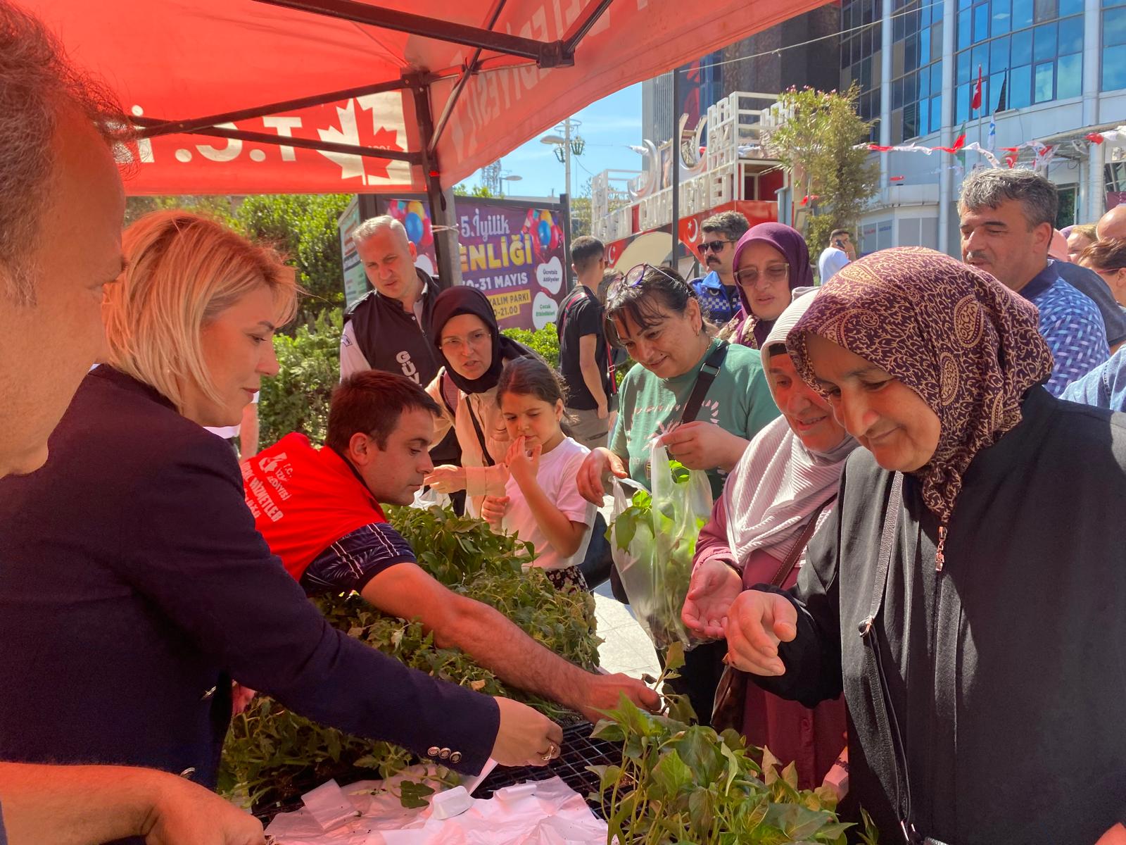 İzmit Belediyesinden halka fide desteği (11)