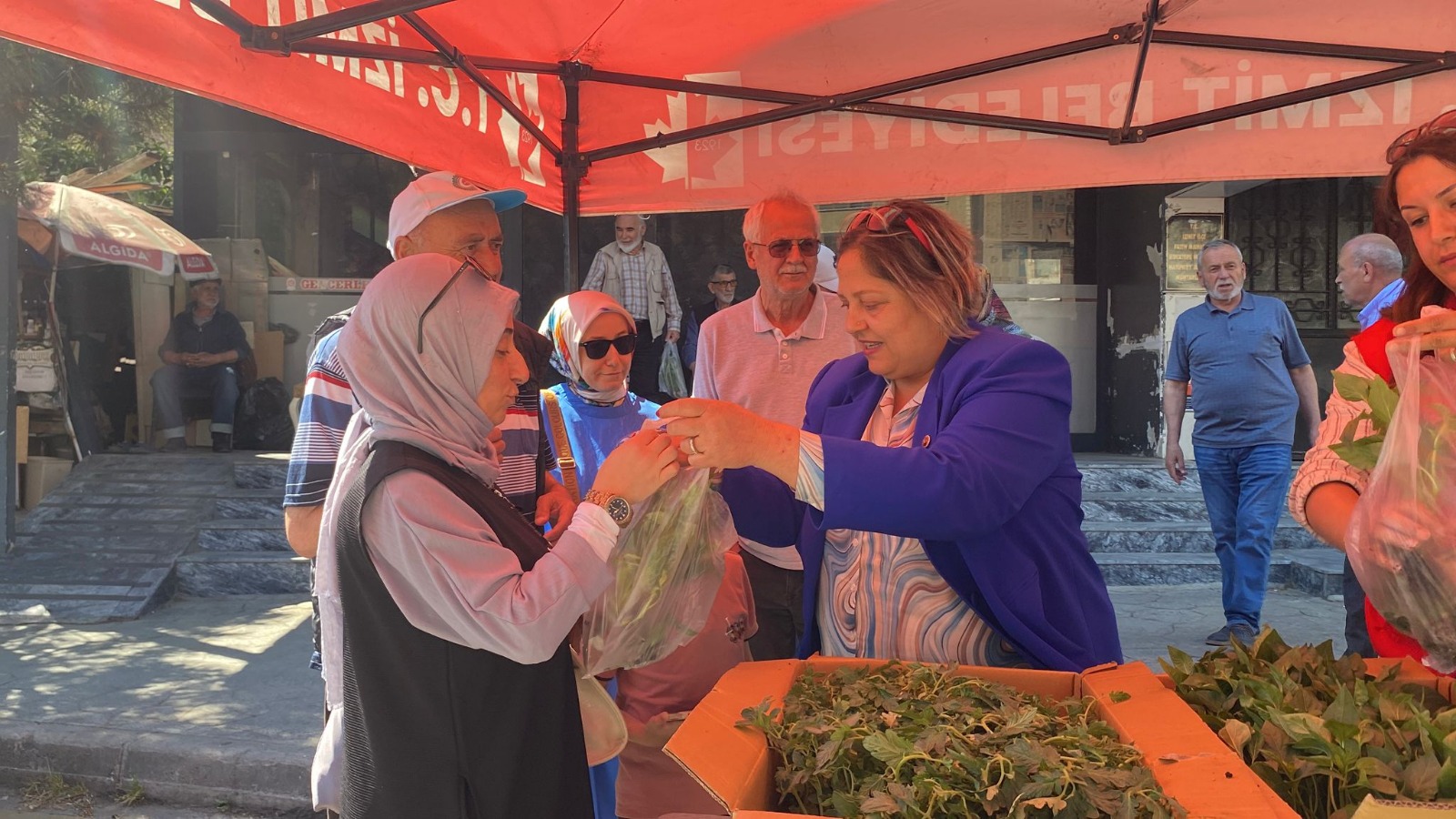 İzmit Belediyesinden halka fide desteği (3)