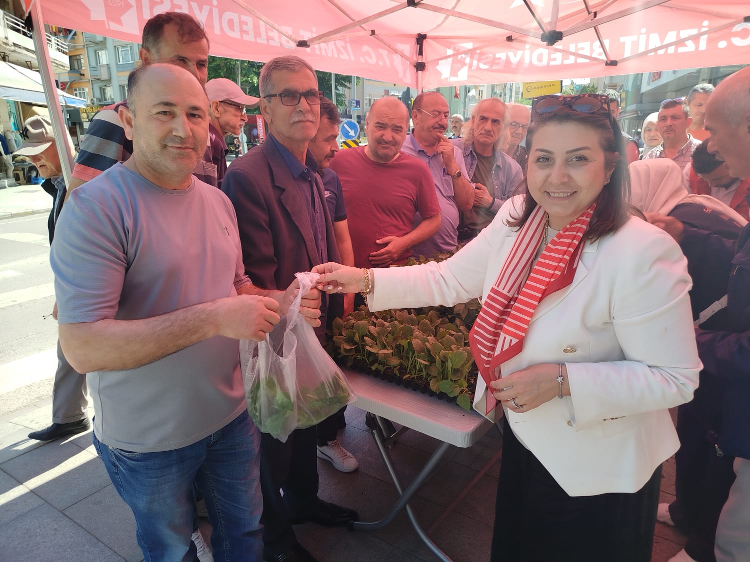 İzmit Belediyesinden halka fide desteği (7)