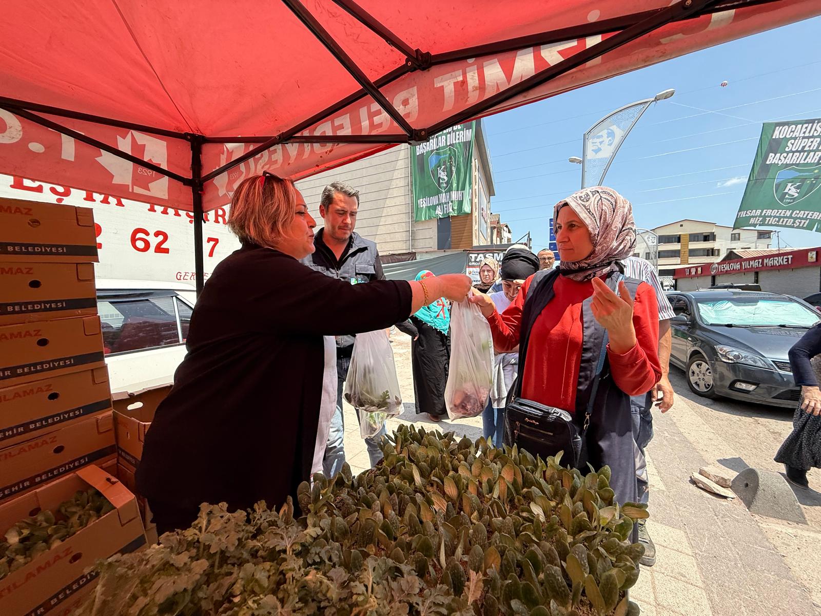 Izmit Belediyesinden vatandasa ücretsiz fide destegi (10)