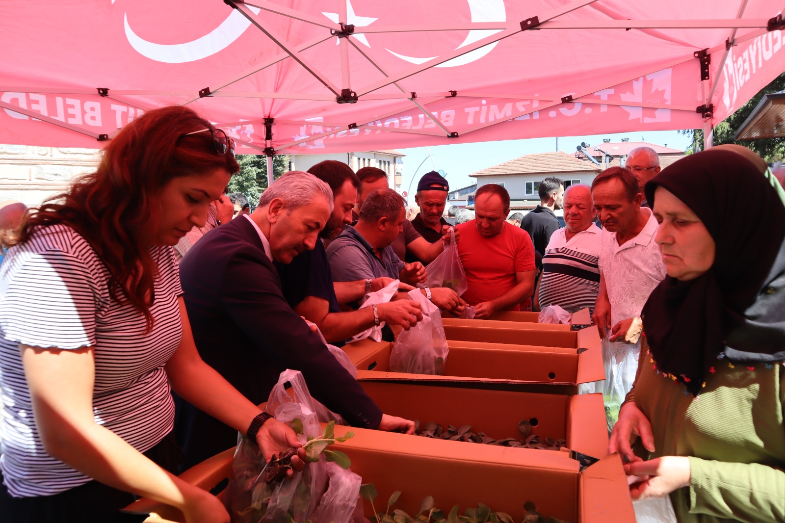 Akmese'de vatandaslara binlerce fide dagitildi (4)