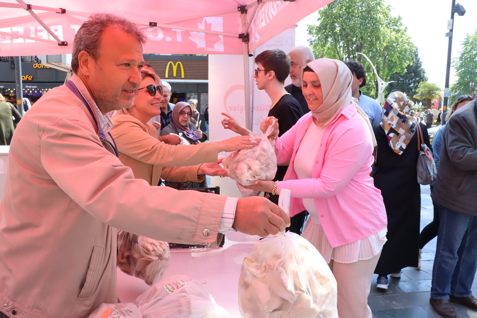 İzmit Belediyesinden vatandaşa ücretsiz istiridye mantarı (12) İzmit Belediyesinden vatandaşa ücretsiz istiridye mantarı (12)