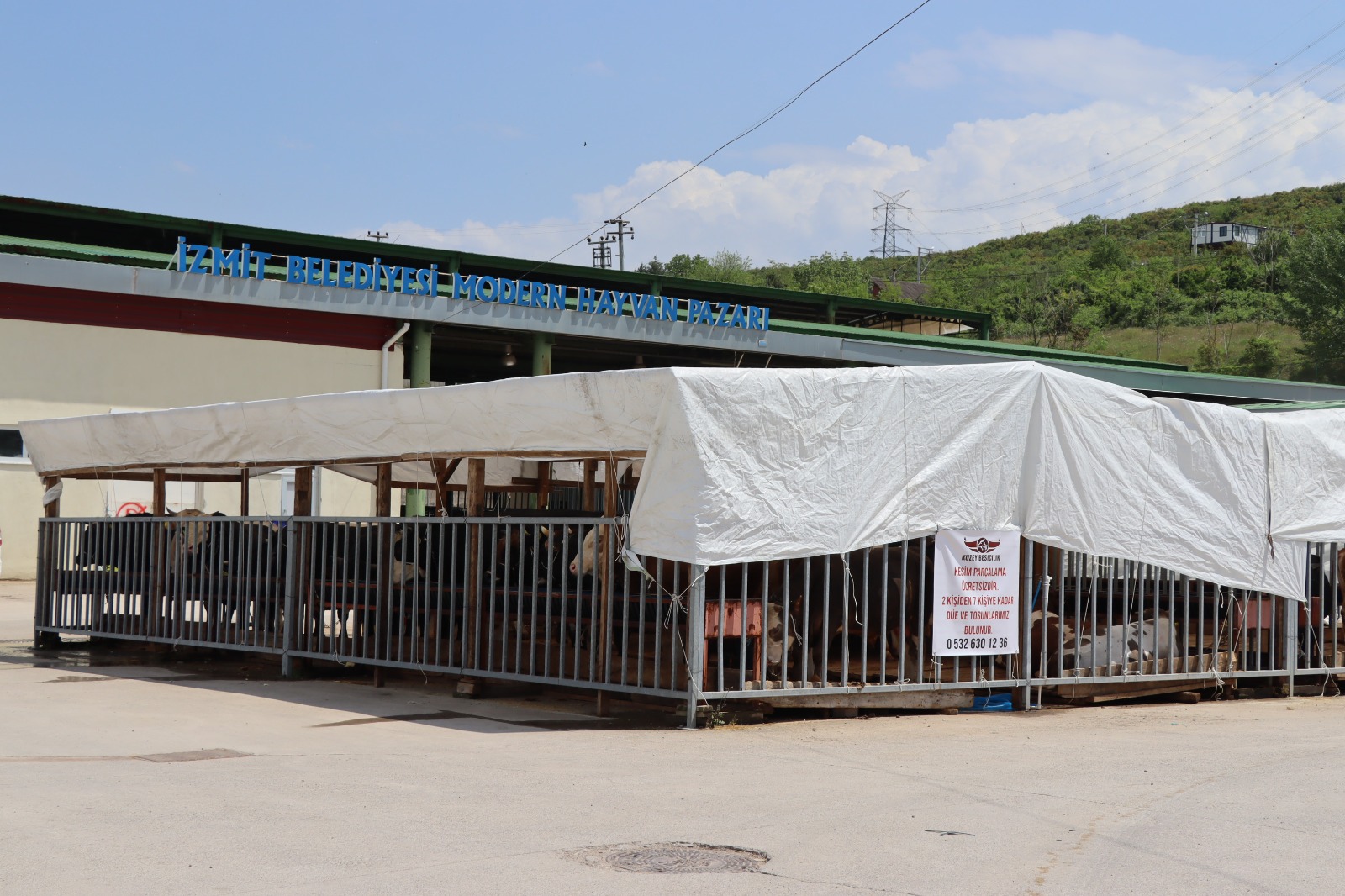 Kurbanlıklar İzmit Belediyesi Modern Hayvan Pazarı’nda yerini alıyor (11)