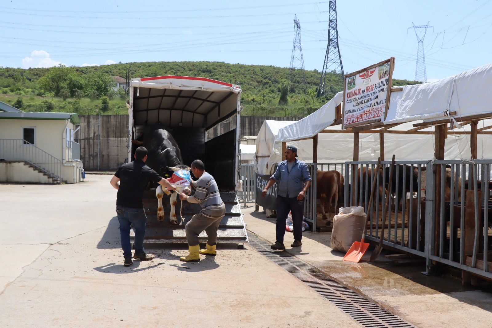 Kurbanlıklar İzmit Belediyesi Modern Hayvan Pazarı’nda yerini alıyor (5)