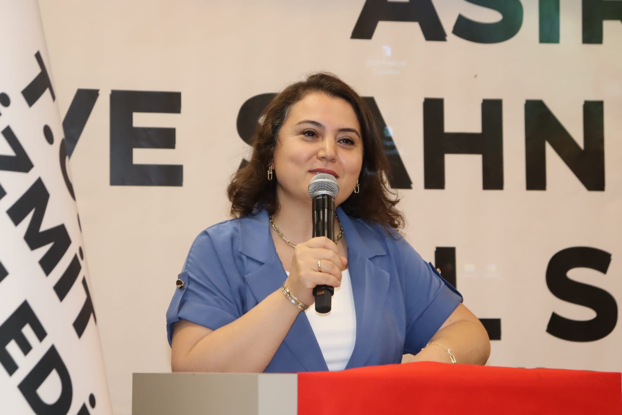 Izmit'in asirlik çinarlari yil sonu gösterisinde göz doldurdu (12)