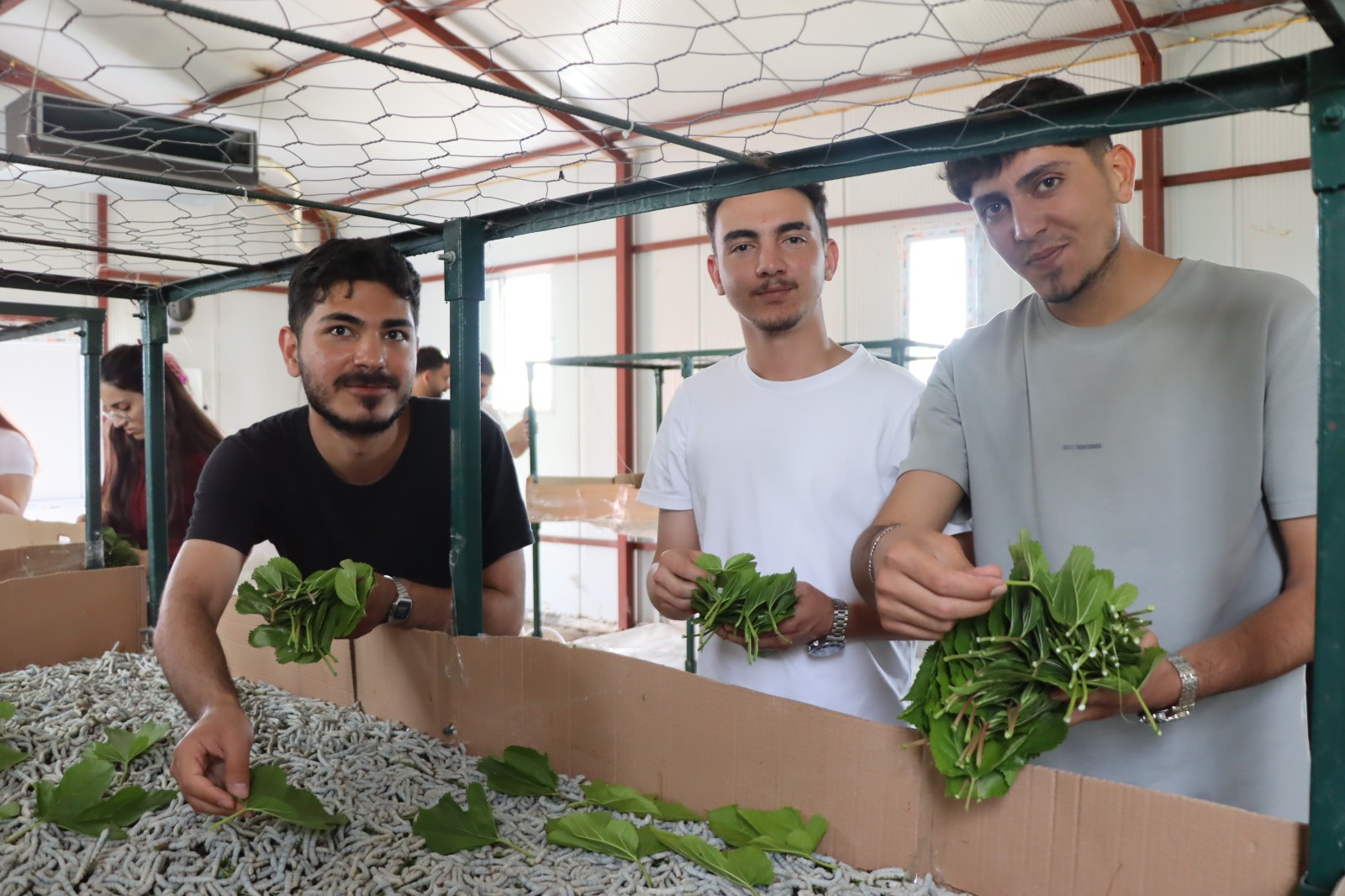 KOÜ öğrencileri İpekböceği Kozaevi’nde (14)