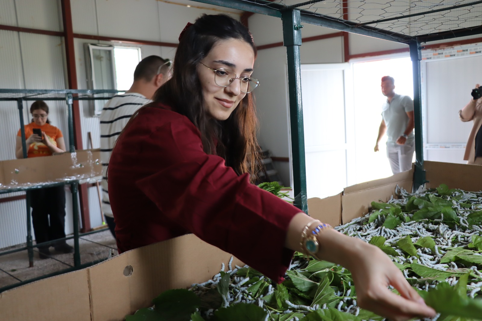 KOÜ öğrencileri İpekböceği Kozaevi’nde (17)